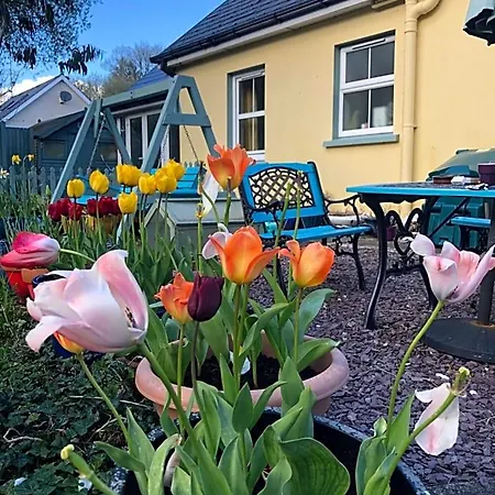 Streamside With Parking Bed & Breakfast