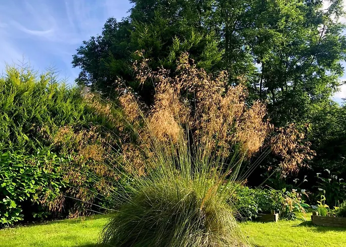 Streamside With Parking *